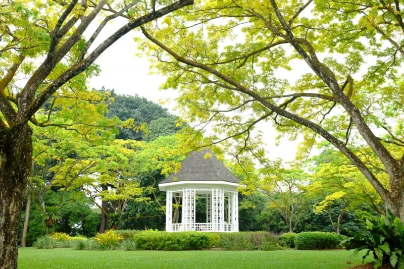 Singapore Botanical Gardens