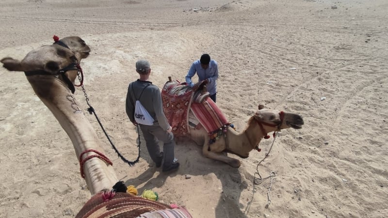 camel ride giza