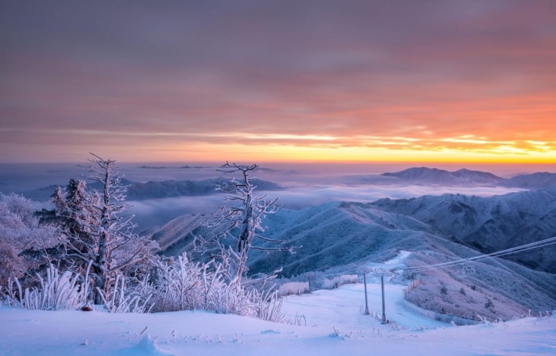 ski resorts south korea yongpyong