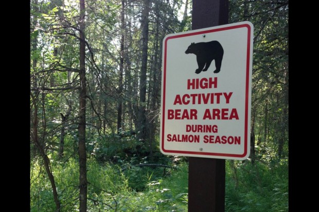 Rover’s Run Trail, Alaska, USA