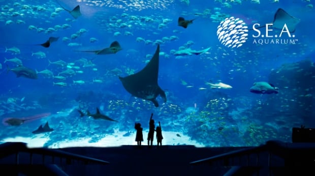 50% OFF 2nd Adult Admission to S.E.A. Aquarium with NTUC Card