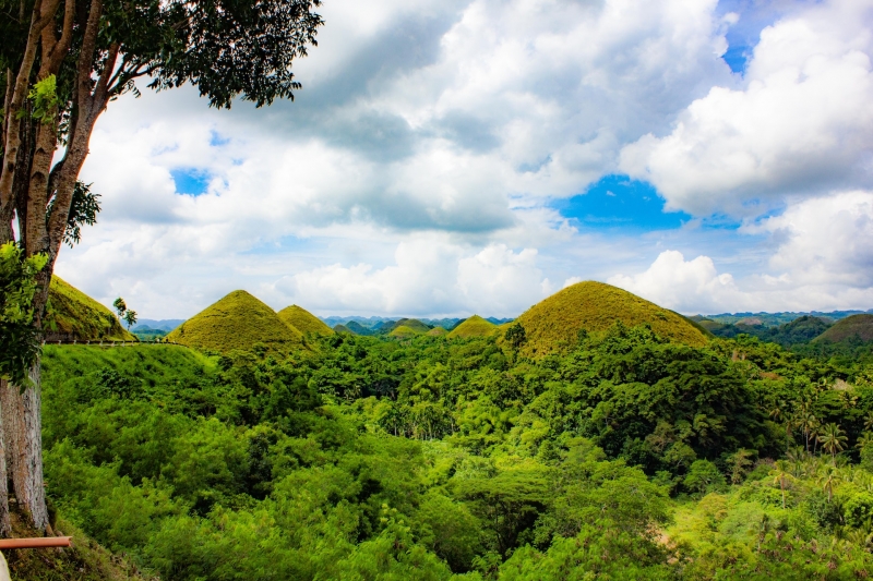 bohol