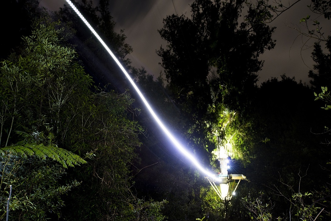 Rotorua Canopy Tours