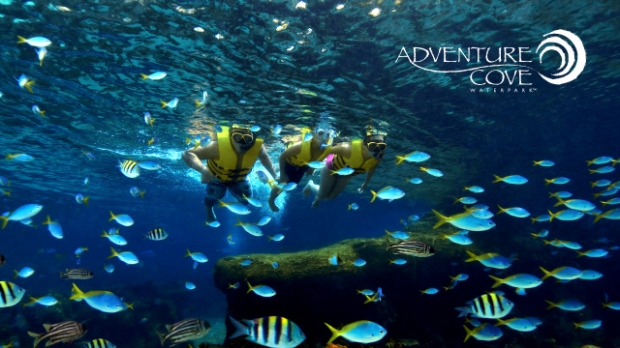 50% OFF 2nd Adult Admission in Adventure Cove Waterpark with NTUC Card