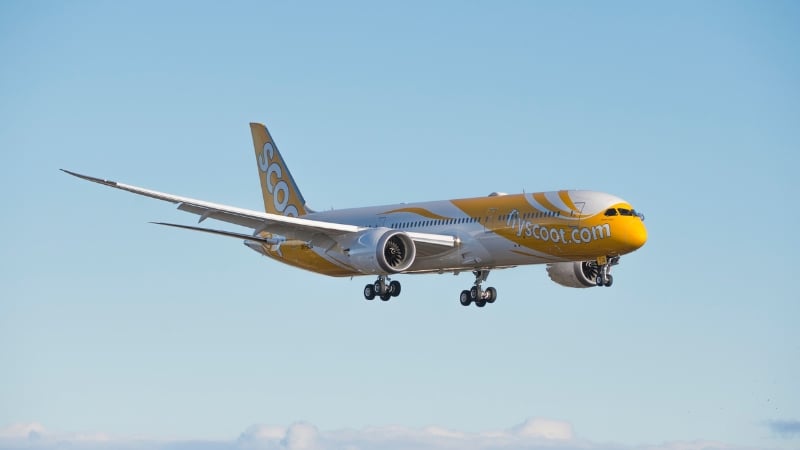 scoot 787 dreamliner