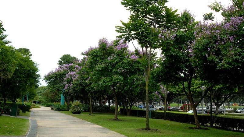 West Coast Park
