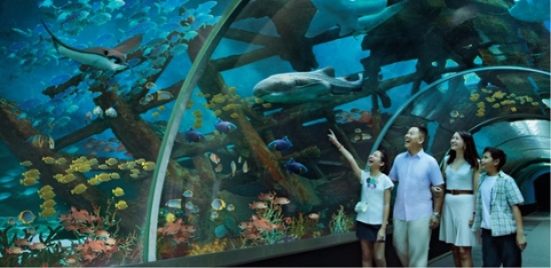 S.E.A. Aquarium Family Annual Pass Bundle at SGD272