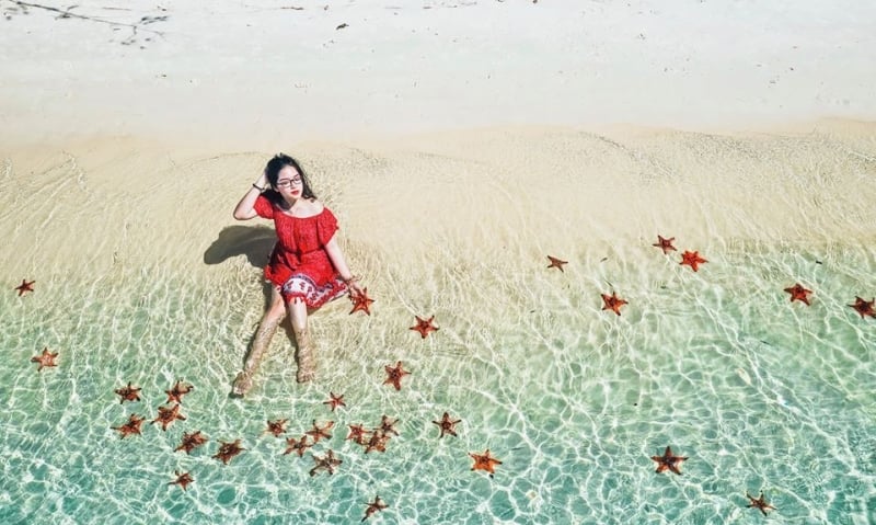 starfish beach