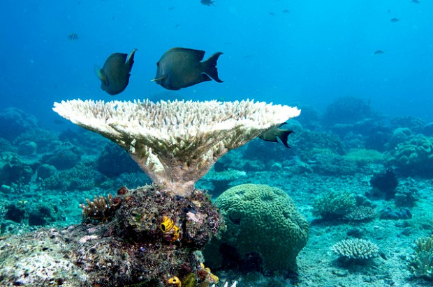 Raja Ampat