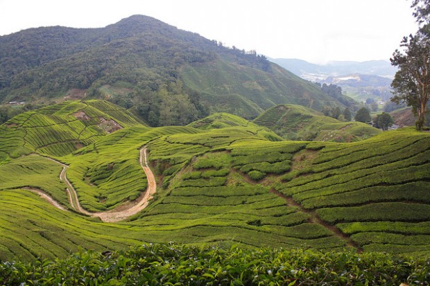 Mount Brinchang