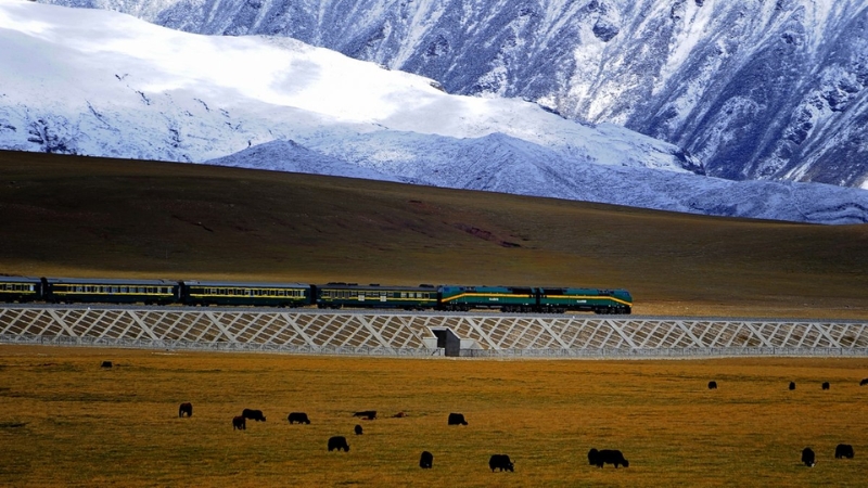 shanghai lhasa railway