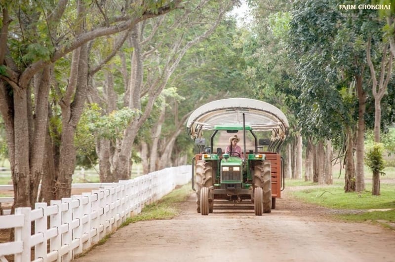 cowboy themed hotels thailand