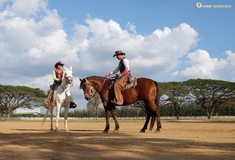 cowboy themed hotels thailand