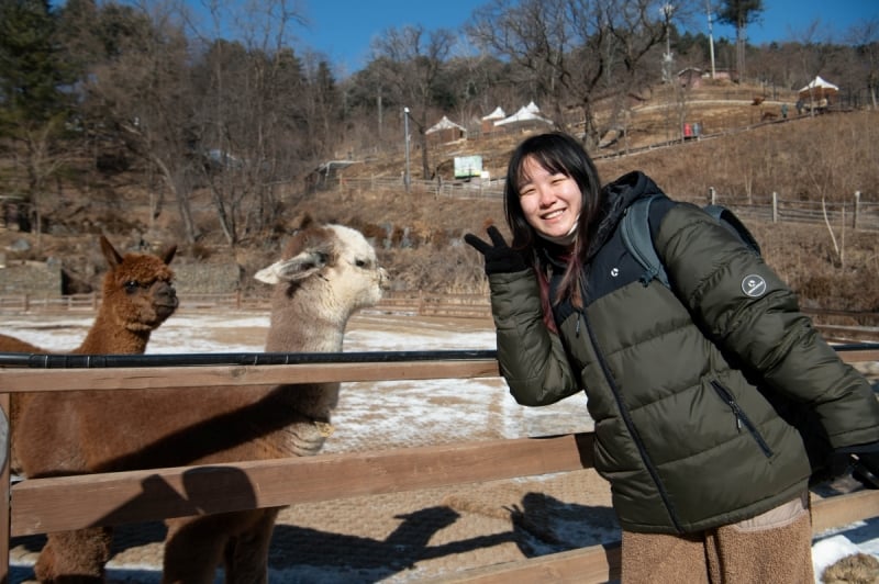 easy day trips from seoul