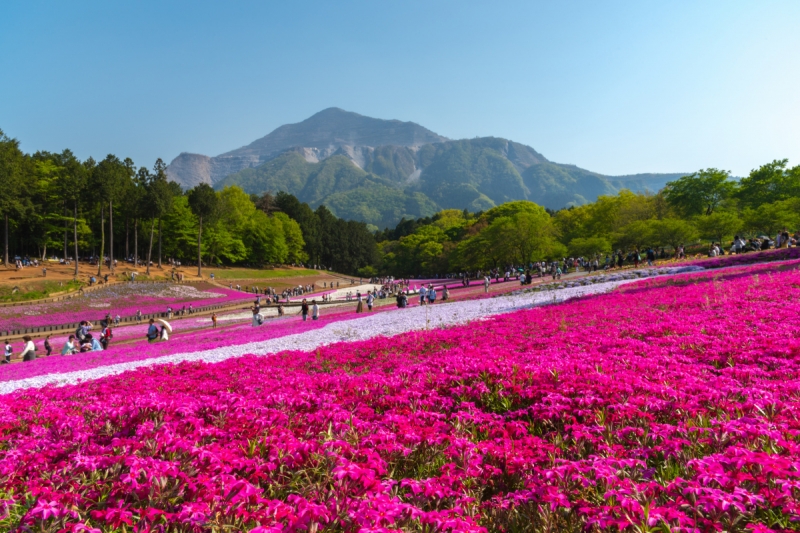best day trips from tokyo