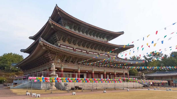 40% OFF ALL PASSENGERS | Taiwan & Japan Cruise with Star Cruises