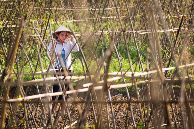 wwoof-ing for filipinos