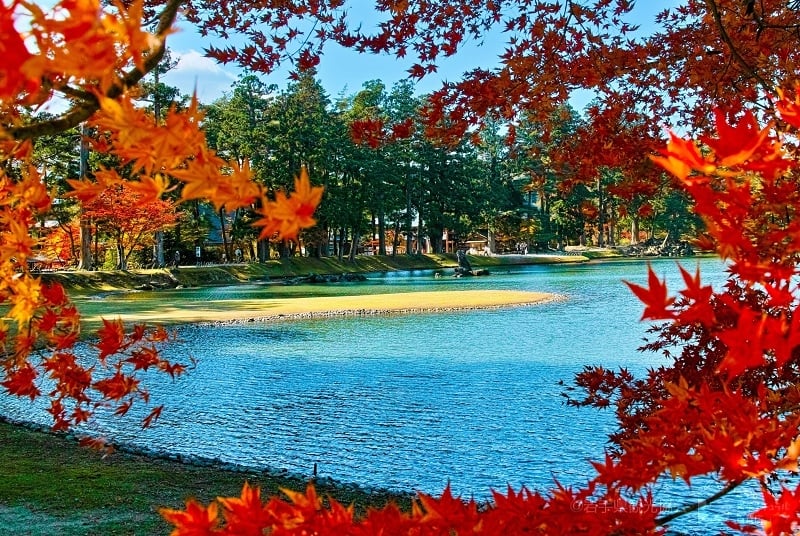 Tohoku autumn spot: Motsuji Temple, Iwate Prefecture