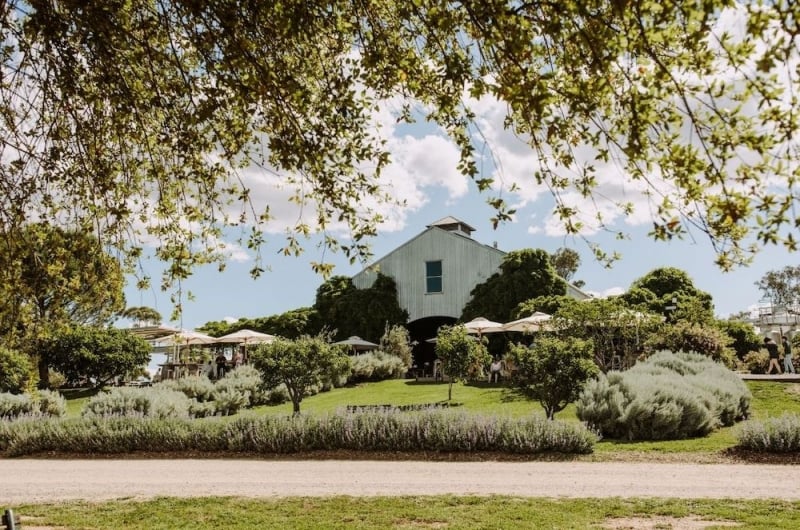 Wineries in New South Wales