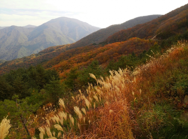 jirisan national park autumn