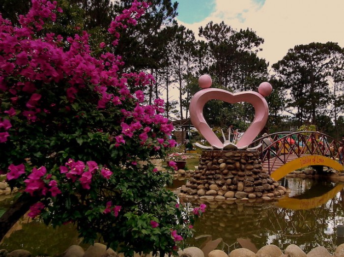 valley of love da lat 