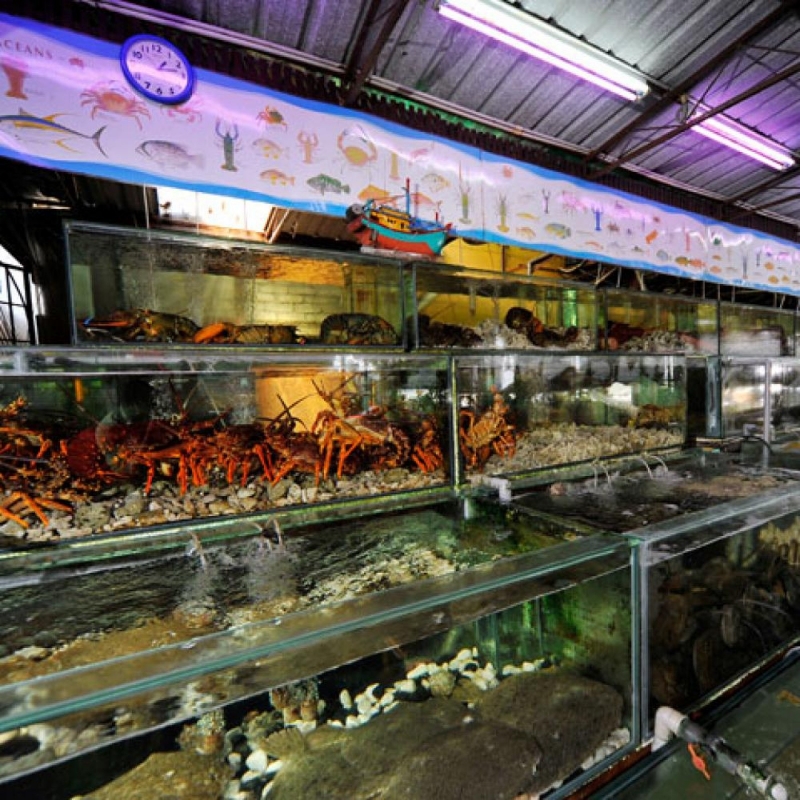 Seafood Restaurant In Klang / DeepSea Food Sunway Geo Avenue: For
