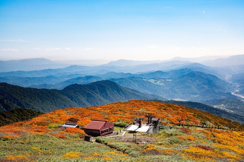 Tohoku autumn spot: Mount Gassan, Yamagata Prefecture