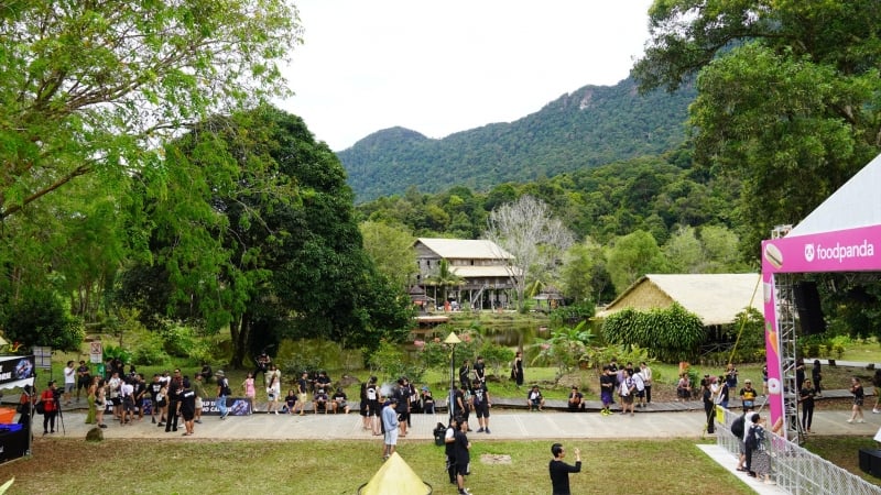 sarawak rainforest world music festival
