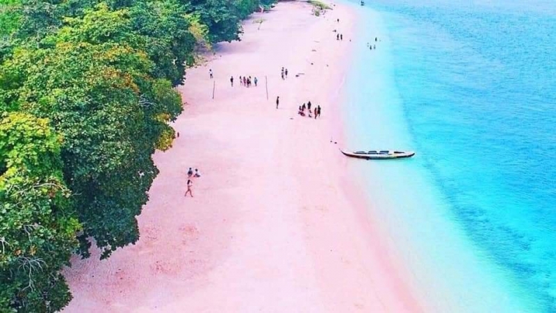 pink beach