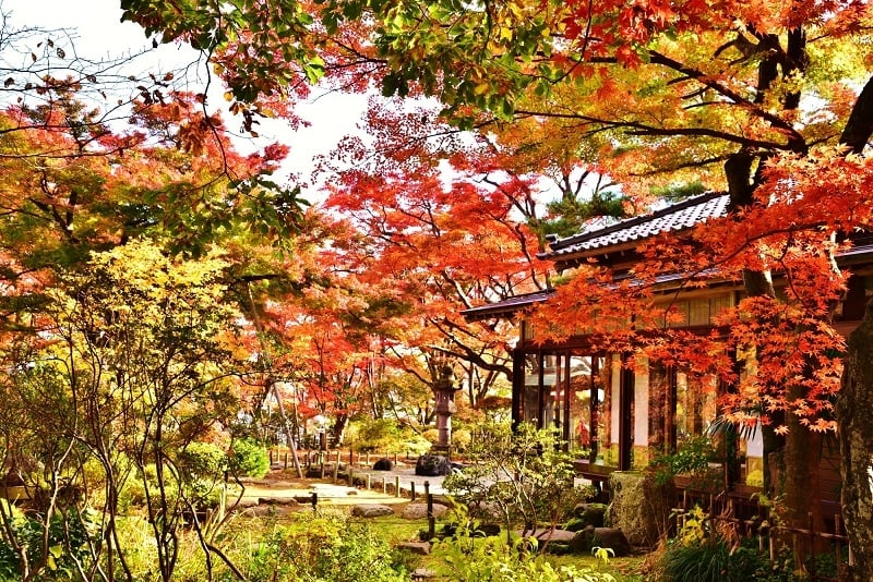 Tohoku autumn spot: Momijien (Maple Garden), Niigata Prefecture