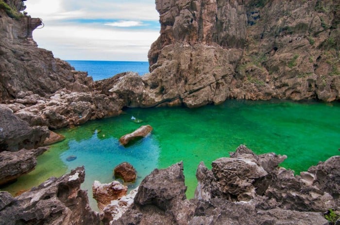 Tangke salt water lagoon