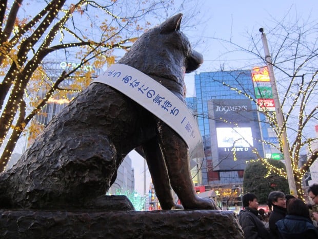 hachiko statue