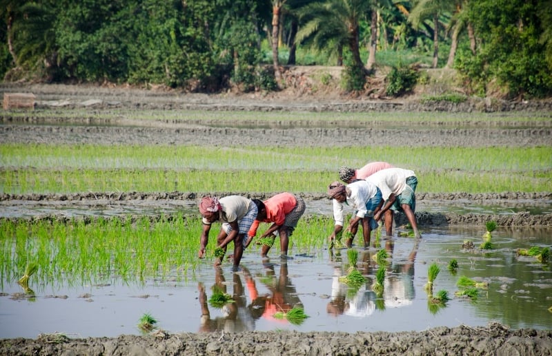 wwoof-ing for filipinos