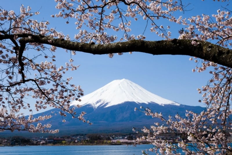 japan tourism rules 2025