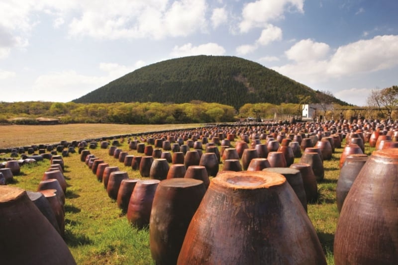 jeju stone park