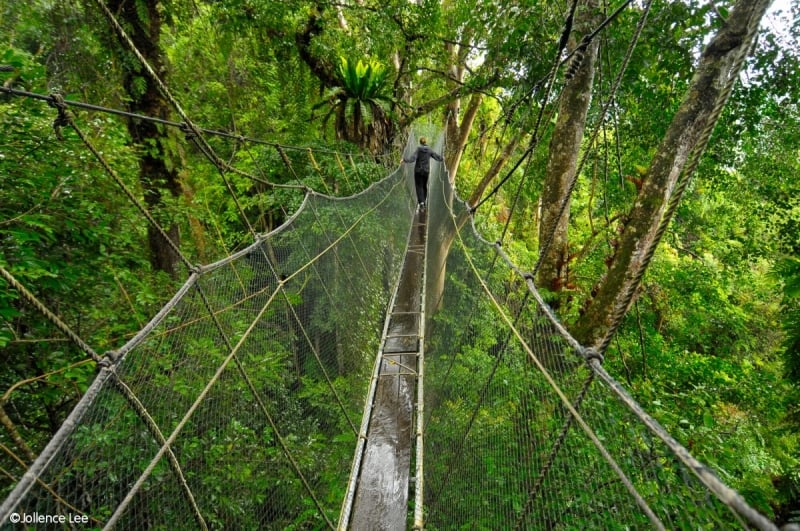 poring hot spring canopy walk