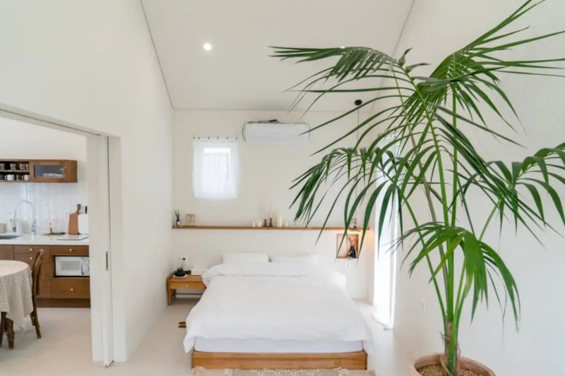 jeju airbnb