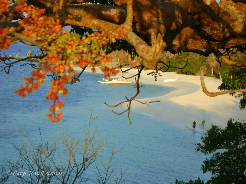 Malcapuya Island