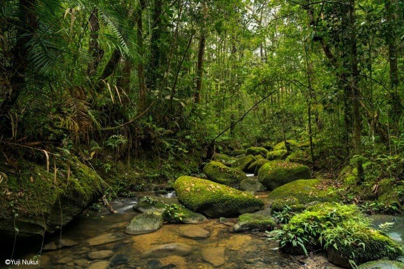 sabah destinations kinabalu park