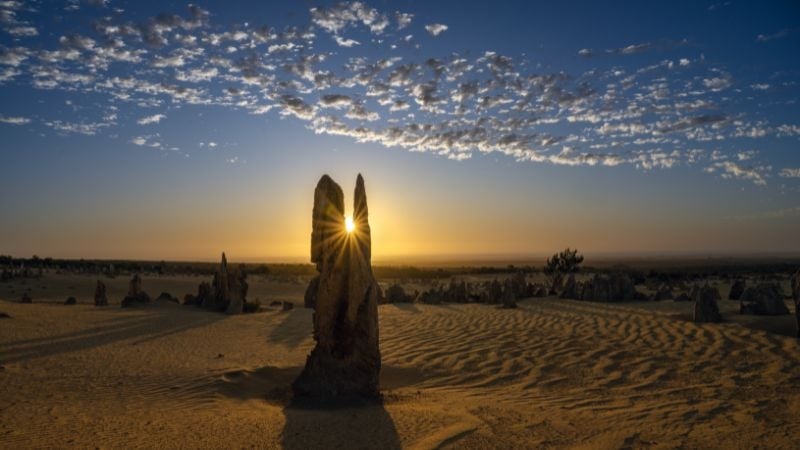perth desert