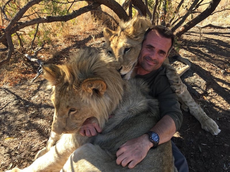 lion whisperer