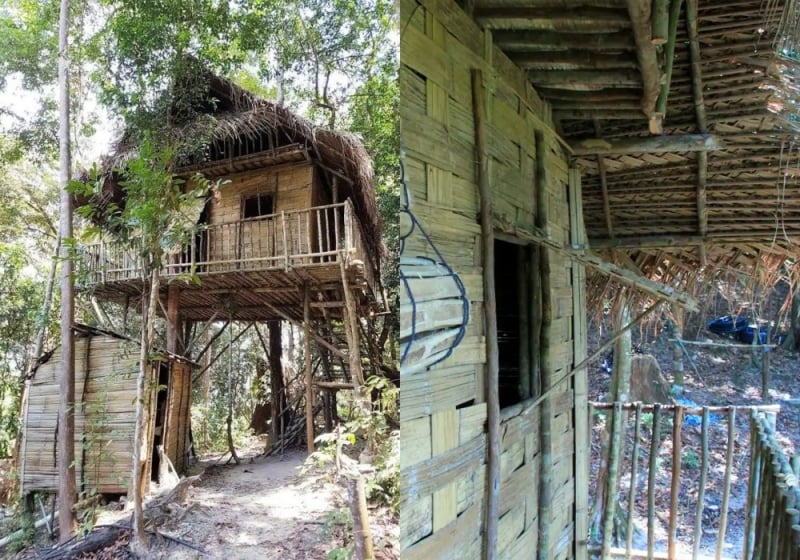 treehouse malaysia