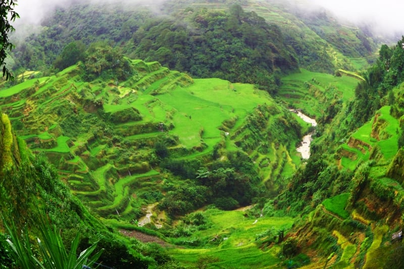 Banaue Rice Terraces