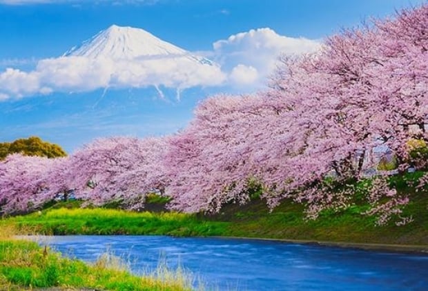 Indulge in the View of Japan with All Nippon Airways