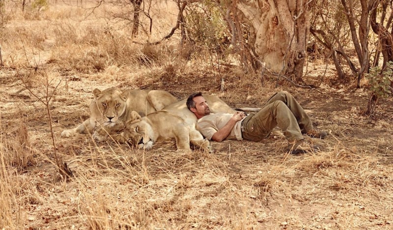 lion whisperer