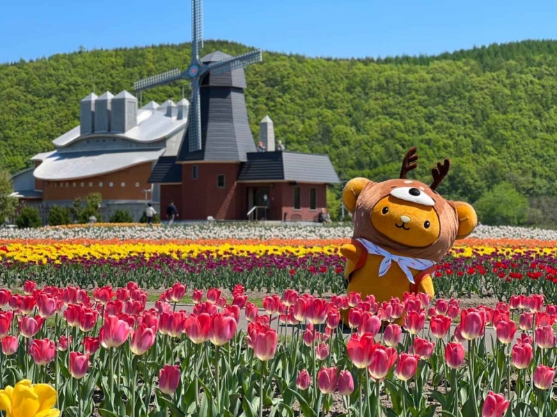 hokkaido flower garden and happy bear free japan tour 