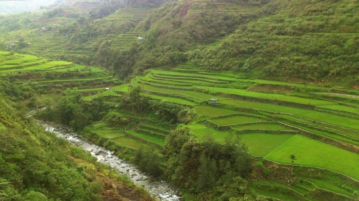 Hungduan Rice Terraces