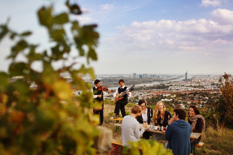 Viennese food and wine