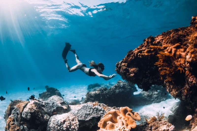 freediving water sports in the Philippines