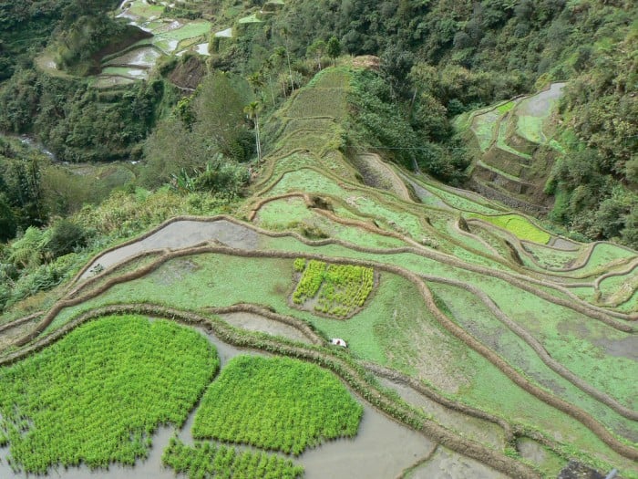 banaue rice terraces